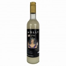 Сироп Molly «Кокос» 700 мл