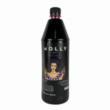 Сироп MOLLY Чорна смородина 1 л